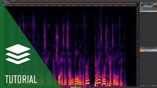 Fixing Unwanted Plosive Sounds and LF Control  SpectraLayers Elements Tutorials [upl. by Melodee]