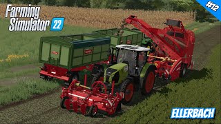 Suikerbieten rooien  Ellerbach 12 fs22 [upl. by Celia]