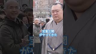 宝富士関がやってきた 一月場所 相撲 sumo 両国国技館 sumida tokyo 墨田区 [upl. by Nnyleimaj]