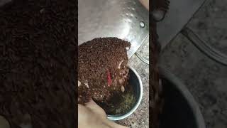 कधी खाली नसेल आशी वेगळ्या पद्धतीची जवसाची चटणी😋Jawas chutneyshortvideo viral viralvideo chutney [upl. by Constancia455]