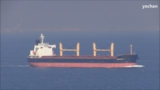 Bulk Carrier CONSOLIDATOR Owner Evalend Shipping  Athens Greece IMO 9368869 Underway [upl. by Anaet]