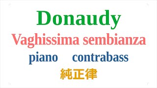 Donaudy Vaghissima sembianza piano contrabass 純正律 [upl. by Notneiuq]