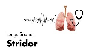 Stridor  Lung Sounds  MEDZCOOL [upl. by Sharai]