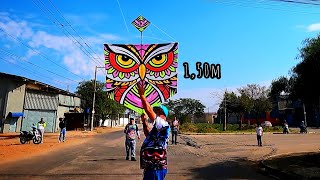 Primeira Pipa Que Pegamos foi o PIPÃO de 130 Vento Chegou Foi Muita PIPA no FESTIVAL da FLORESTA [upl. by Judi]