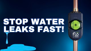 Flo by Moen Explained Smart Water Monitoring amp Leak Detection [upl. by Ipoillak512]