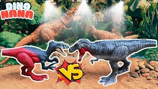 Megaraptor VS Tarbosaurus  And Continue Dinosaur Mattel Toys Collection [upl. by Karee]