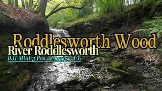 Roddlesworth wood Chorley UK  DJI Mini3 Pro [upl. by Llerrehc]