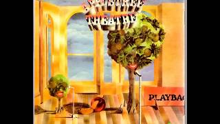 APPLETREE THEATREPlayback14What A Way To GoPsychedelic Folk Rock1968 [upl. by Henni]