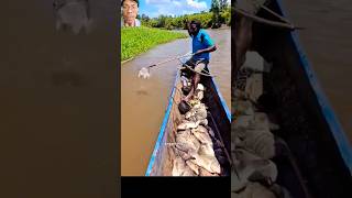 Fishing boat full hunting skills [upl. by Sabah]