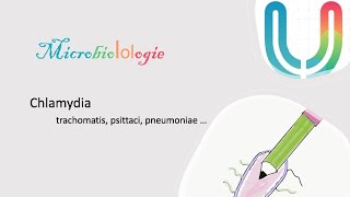 Urgences  MicrobioLOLogie  Chlamydiae trachomatis psittaci pneumoniae 🦠🧫 [upl. by Valencia]