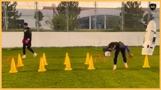 Professional Goalkeeper Training [upl. by Caddaric]