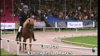 Compétition quot5 Alluresquot  Equitation Islandaise [upl. by Lilia974]