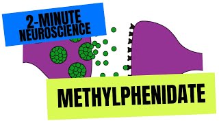 2Minute Neuroscience Methylphenidate [upl. by Eiramalegna]