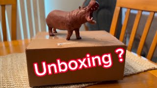 Unexpected Delivery Unboxing [upl. by Sabine265]