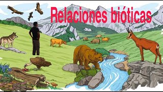 Tipos de relaciones en seres vivos bióticas [upl. by Barimah]