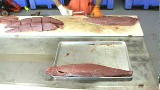 Yellowfin Tuna Portioning [upl. by Nollat]