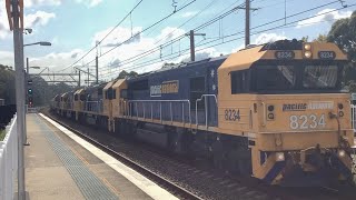 8234 CREW SHOUTOUT PN AnyTrip 3938 passes Loftus trains australia kindness hornsound fun [upl. by Asirrak705]