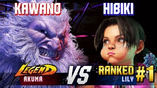 SF6 ▰ KAWANO Akuma vs HIBIKI 1 Ranked Lily ▰ High Level Gameplay [upl. by Aerdnac720]