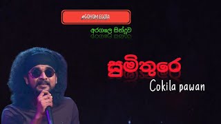 අරගලෙටජය 😍Kokila Pawan Jayasooriya Sumithure Official Music VideoKoki la Pawan Jayasooriya [upl. by Akkinahs]