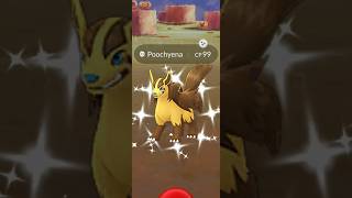 When I Got Golden ✨Shiny Hyena in pokemongo [upl. by Janina]