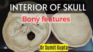 INTERIOR OF SKULL  Bony features [upl. by Ayihsa]