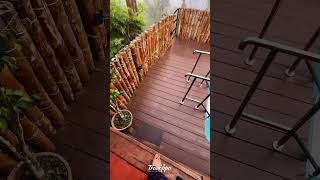 Best Tree house with private pool For couples and family Private pool villas in Wayanad [upl. by Anabel]