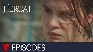 Hercai Amor y venganza New Season  Episode 37  Telemundo English [upl. by Ahtnams]