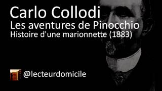 Les aventures de Pinocchio  Carlo Collodi  22 [upl. by Burhans400]