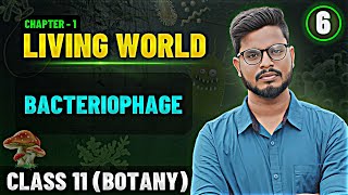 Bacteriophage in Tamil  Living World Tamil 6  Class 11 Botany State Board [upl. by Riada500]