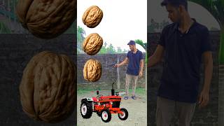 Rounding walnut to Alto Rollar Jcb amp Tractor  Vehicles names magic video [upl. by Deerc173]