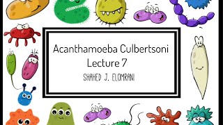 8 Acanthamoeba Culbertsoni [upl. by Dhaf]