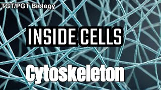 Cytoskeleton Structure and Function  Microtubules  Microfilaments  Intermediate Filaments [upl. by Ahpla]