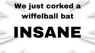 WE JUST CORKED A WIFFEL BALL BAT [upl. by Pierson]