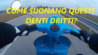 COME SUONANO QUESTI DENTI DRITTI 102 Pinasco in alluminio [upl. by Egrog]