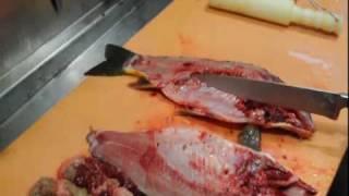 Karpfen zerlegen und filetieren  How to cut and filet carp [upl. by Royd]