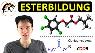 ESTERBILDUNG – Reaktionsmechanismus  Saure Esterhydrolyse  Chemie Tutorial [upl. by Nottirb]