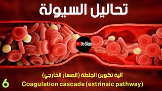 المسار الخارجي coagulation cascade extrinsic pathway [upl. by Farkas469]