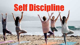 Why Self Discipline is the only Key to Success [upl. by Tavi]