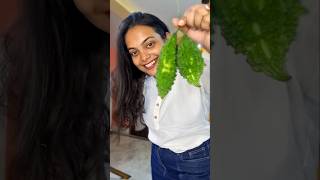 Karela fry recipe shorts ytshorts viralshorts trending [upl. by Eanahs]