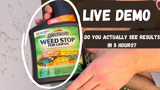 Spectracide Weed Stop For Lawns  Remove Crabgrass Easily [upl. by Olimreh]