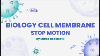 Cell Membrane Stop Motion [upl. by Enajaras]