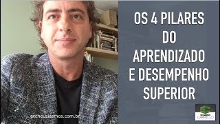 Liderança e Neurociência da Aprendizagem Organizacional [upl. by Mario]