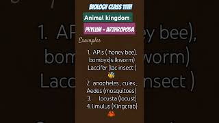 Example of animal kingdom phylum arthropoda neetaspirant animalkingdomclass11 [upl. by Anoid]