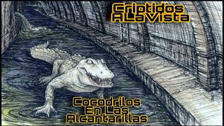 Cocodrilos De Las Alcantarillas  Caimán De Harlem  Leyendas Urbanas MITOLOGÍA Criptidos ALaVista [upl. by Enialem915]