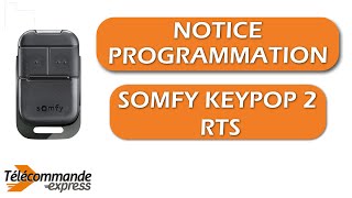 Comment programmer votre télécommande de portail SOMFY KEYPOP 2 RTS [upl. by Melony]