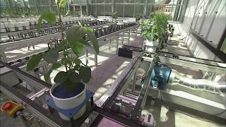 Nebraska Plant Phenotyping Nebraska Innovation Campus Greenhouse [upl. by Chelsy]