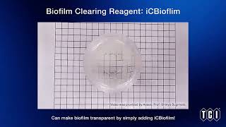 Biofilm Clearing Reagent iCBiofilm [upl. by Cilegna]