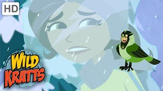 Wild Kratts  TRAPPED In An Ice Storm  Weather [upl. by Kellene]