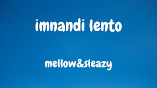 Mellow amp Sleazy X sjavasdadeejay X Titom  Imnandi Lento lyrics ft Tman express [upl. by Ytsirhk]