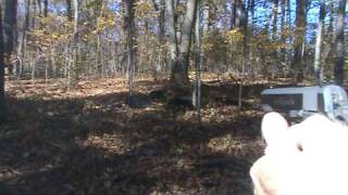 1911 Wild Boar Shooting [upl. by Nospmoht]